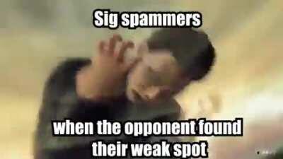 Sig spammers
