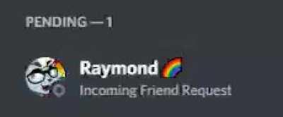 gay twink heterochromia cat