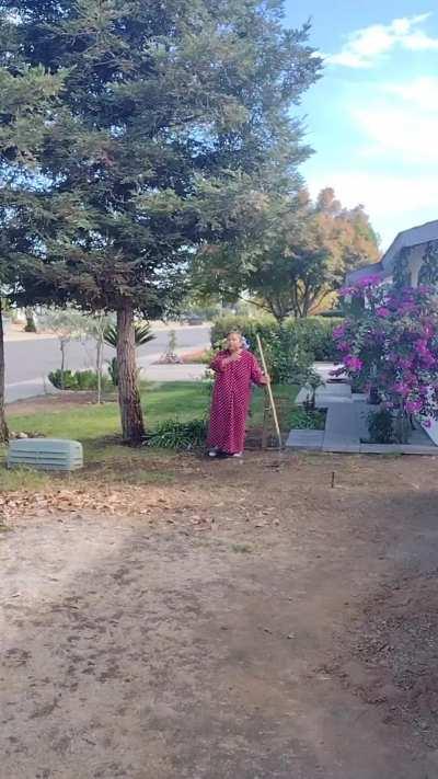 Karen get mad over a few leaves.