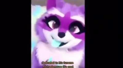 Professionals have standards