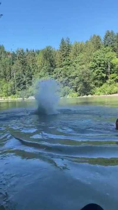 Tried to do a rope swing and failed