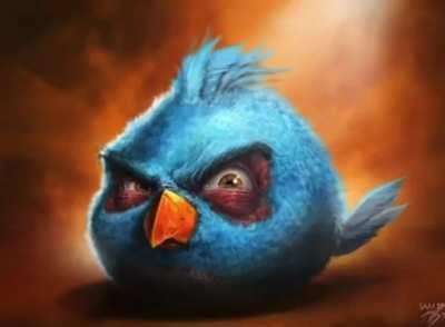 Angry birts