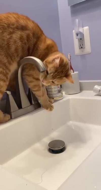 He was doing his best, okay? 😭