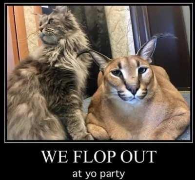 We 😼 flop 💥 out 😤 at your 👉 party 🎉