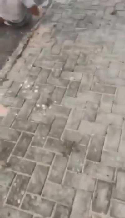 Ok buddy, you need more practice