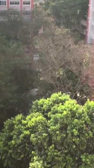 Snowing in Bishan... Any weather experts can comment?