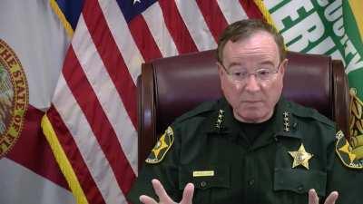 New Moonpie advertisement