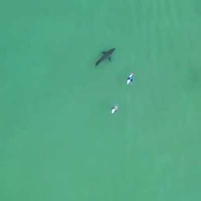 Time to get out of the water .