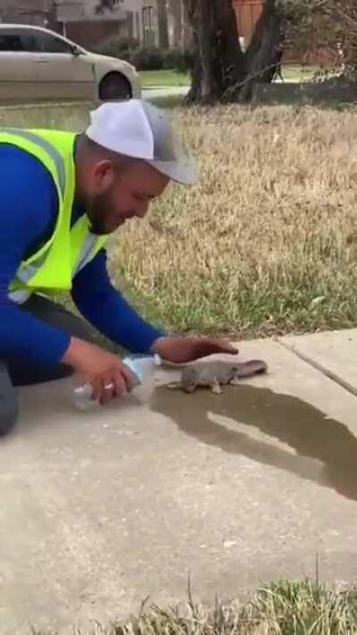 When kindness met gratitude