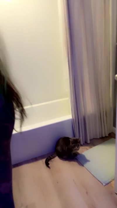 A gallon a day got me pissing all day😝