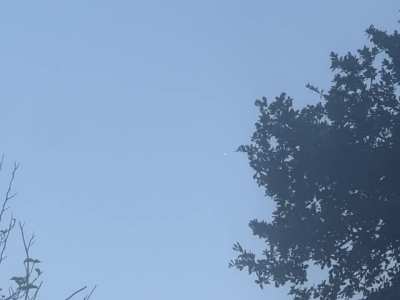 Who else saw this over Round Rock, Tx? 