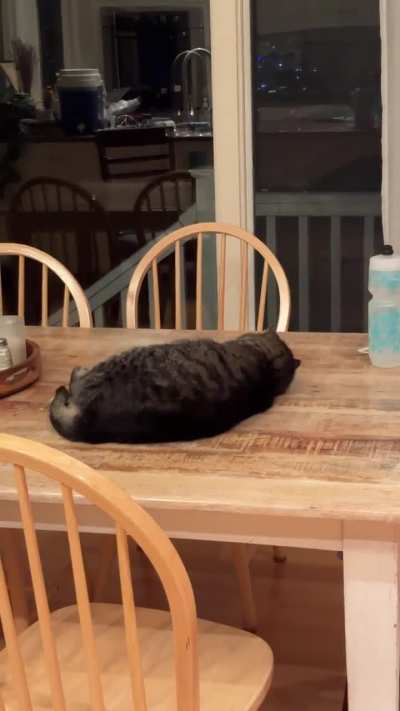 I had no idea greebles could be in the table!! Normally I would remove her immediately, but with this code red greeble infestation, desperate times call for desperate measures.