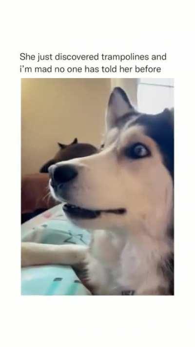 Let drive him to the trampolines.