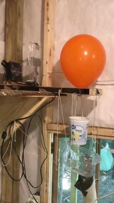 To feed the goats when we can’t get home in time, it’s on a timer.