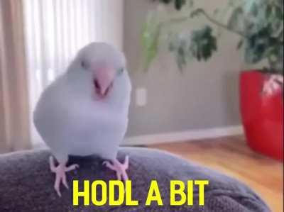 As the price goes up, here’s some motivation and something to remember