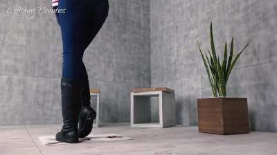 boots fishes extraits