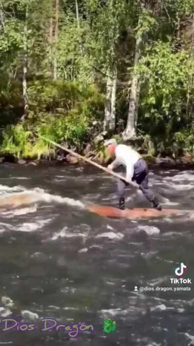 Quiero pescar un tronco 🎶