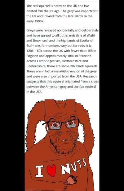 red squirrel shakered without lotion rip bozo