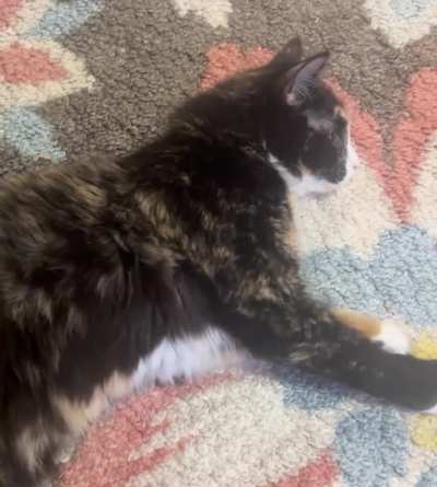 Email showing off her flop-and-trill wombo-combo.