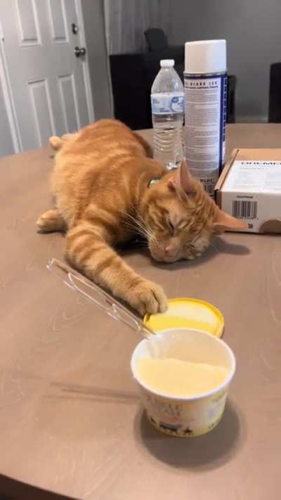 Just pretend to be asleep, and no one will suspect.