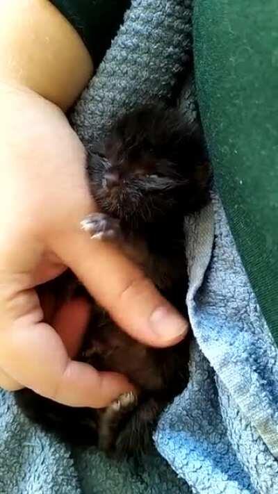 We had to fight so hard for him. He escaped death three times and had to take so strong medication that his chances of survival were minimal. But he finally made it. He has so much zest for life which is incredibly amazing. He's such a fighter and hopeful