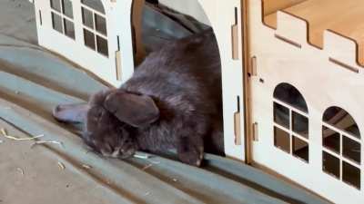 Possessed by dreams of food