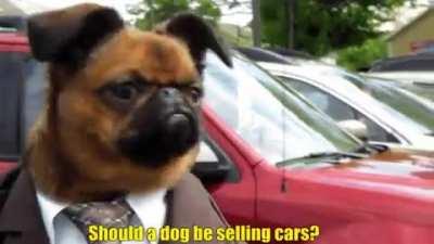 Finally a Car Salesman I can trust!