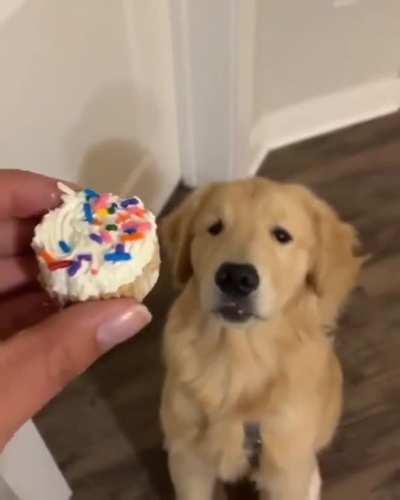 Oh, the anticipation!