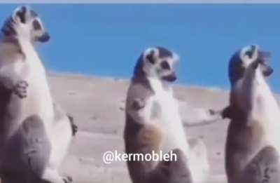 خدایا دعامونو مستجاب کن😂😂😂