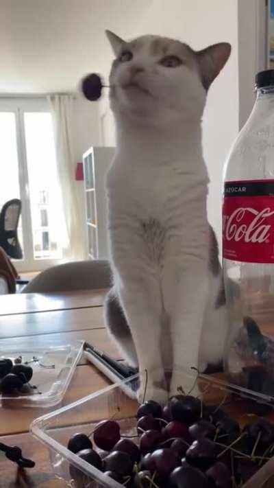 She Loves To PLAY With (not Eat) Cherries