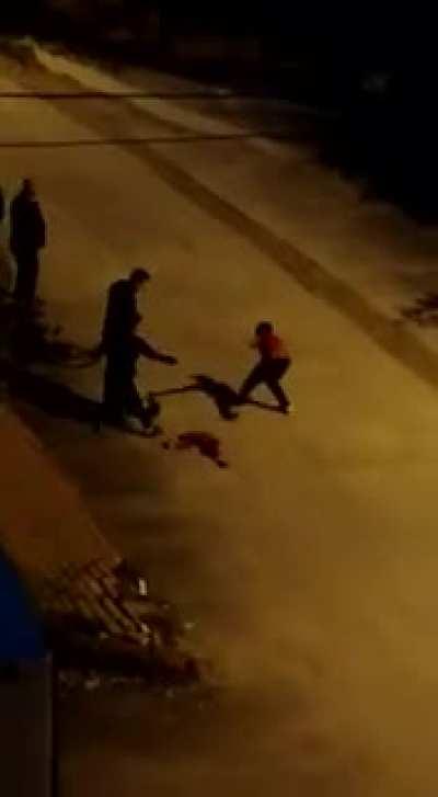 Bu mahallede delirmeme ramak kaldi olum napiyorsnuz siz amkqkskwkwkw