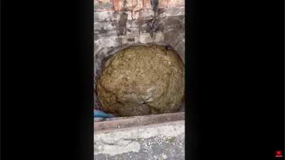 Merry Chistmas and Happy Holidays to all my Fart friends!