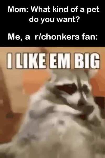 I like em big