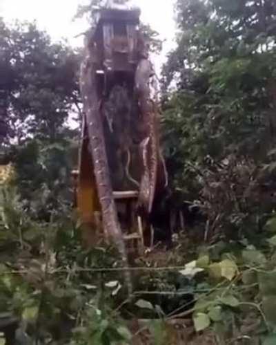 Straight out of a fking movie set