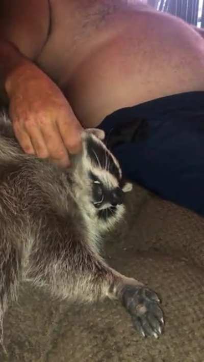 It was a long hard day watching Mom and Dad working in the yard.