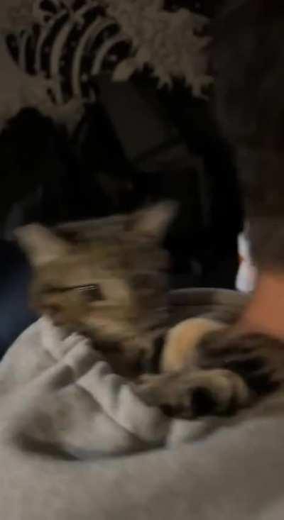 she’s protective of her new hang out spot 