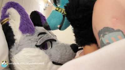 Need more cum-hungry slutty vixens like this to breed and impregnate daily🔥🐺🍆💦 Don't miss the full video along with a special mystery guest in my OnFs  