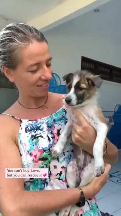 You can’t buy love, but you can rescue it