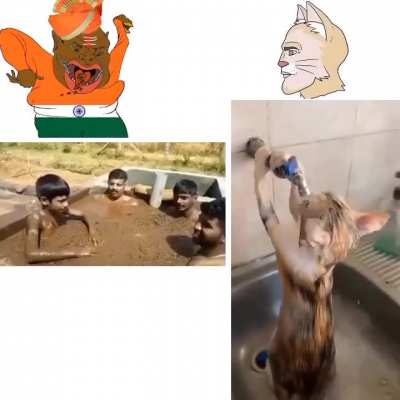 Why Indian bros like that...