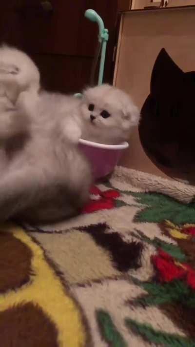 A little traveler in his toy bathtub