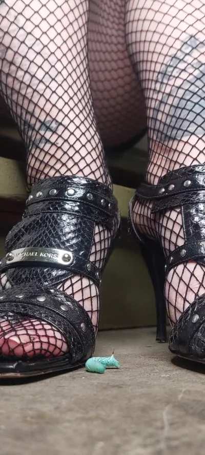 Next volunteer...the last 3 didn't make it 😆