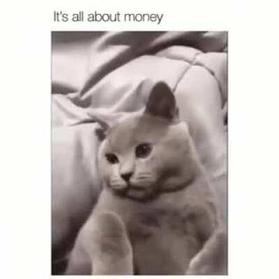 Rare footage of Heidi Horten playing with her cat „Gernot“.