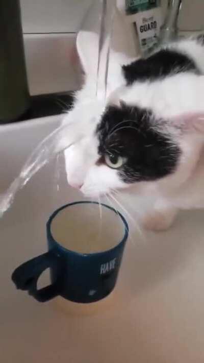 My brain before coffee in the morning