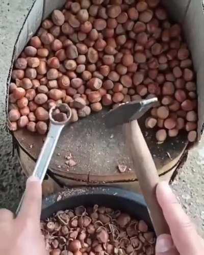 the fastest way to crack nuts