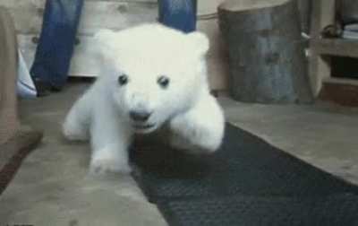 Coming right to ya fur boops...