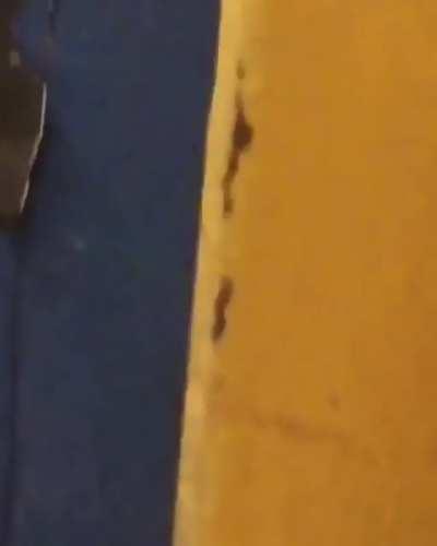 Imagine what you could do with that