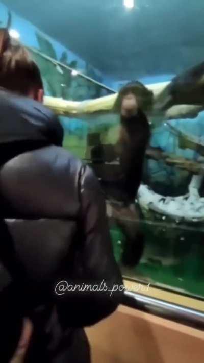 Si no es de tu propia especie, es acoso? Debate!