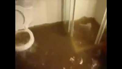 Pi pi, Pu Pu, u, uuuuuuu