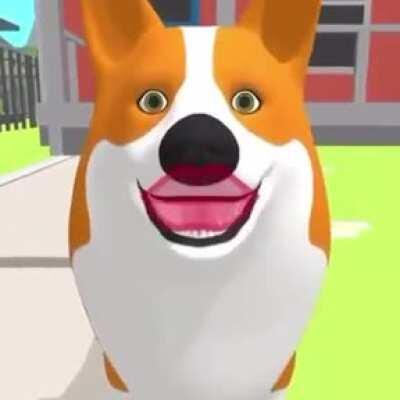 cachorro no maior fodase