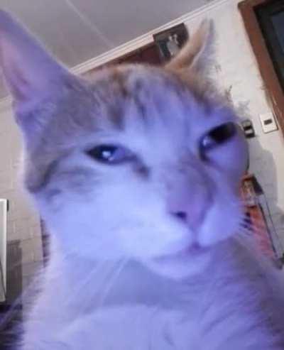 pana miguel pastabasero